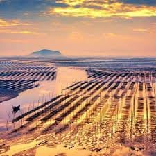 Mochtar Lubis avatar